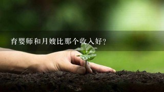 育婴师和月嫂比那个收入好？