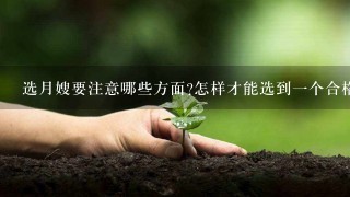 选月嫂要注意哪些方面?怎样才能选到一个合格的月嫂?