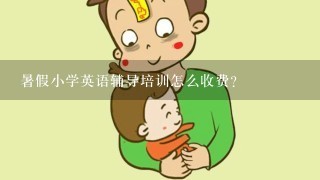 暑假小学英语辅导培训怎么收费？