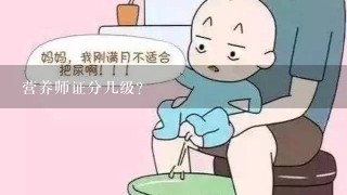 营养师证分几级?