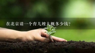 在北京请一个育儿嫂大概多少钱？