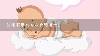 苏州哪里有专业育婴师培训