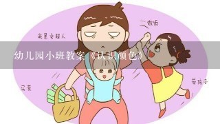 幼儿园小班教案《认识颜色》