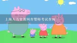 上海人力资源网育婴师考试查询