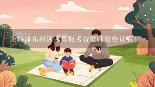 上海浦东新区哪里能考育婴师资格证啊？