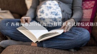 广西柳州市2019届高三1月模拟考试理综试题(图片版)