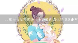 儿童语言发育迟缓，不去做训练也能恢复正常吗？父母和疑惑！