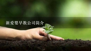 新爱婴早教公司简介