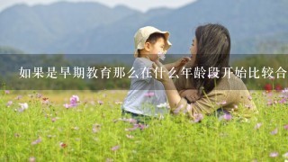 如果是早期教育那么在什么年龄段开始比较合适比如幼儿园学前班等？这个年龄段的孩子会有什么样的学习需求和能力水平差异？